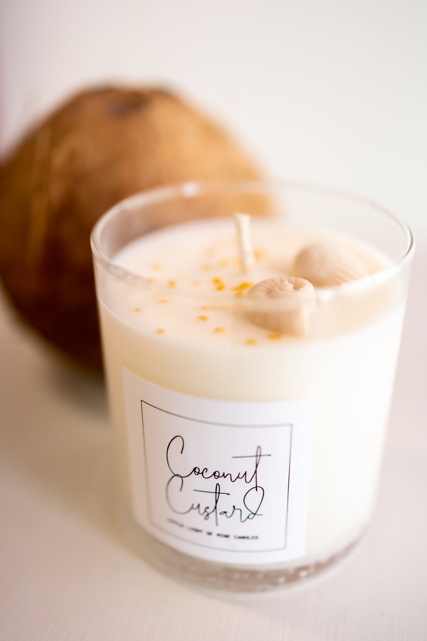 Coconut Custard